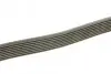 Ремень генератора MB S-class (W140) 91-98 DAYCO 8PK2465 (фото 2)