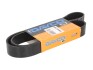 Доріжковий пас DAYCO 9PK1180HD (фото 1)