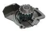 Насос DAYCO DP224 (фото 1)