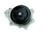 Насос DAYCO DP278 (фото 1)