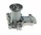 Насос DAYCO DP419 (фото 1)