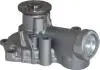 Насос DAYCO DP538 (фото 1)