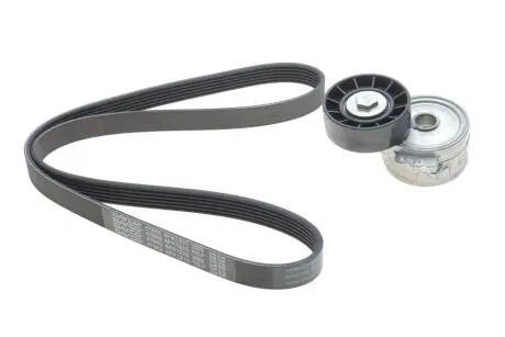 Комплект дорожных поясов DAYCO KPV179