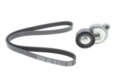 Роликовый модуль натяжителя ремня (ролик, ремень) DAYCO KPV279