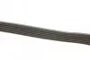 Комплект ременя генератора Ford Galaxy 2.0D 06-15 DAYCO KPV504 (фото 2)