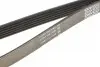 Комплект ременя генератора Ford Galaxy 2.0D 06-15 DAYCO KPV504 (фото 3)