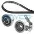 Роликовый модуль натяжителя ремня (ролик, ремень) DAYCO KTB170 (фото 1)