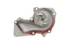 Комплект ГРМ + помпа Ford Mondeo/C-Max/Focus 1.5/1.6 EcoBoost 10- DAYCO KTBWP9480 (фото 7)