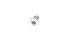 Диск тормозной NISSAN/RENAULT Kubistar/19/Clio/Kangoo/Megane/Twingo &quot;F D=259mm &quot;89-14 Delphi BG2625 (фото 3)
