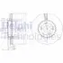 Диск тормозной Delphi BG4119 (фото 1)