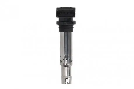 Катушка зажигания VW Caddy III/Passat/Polo/Skoda Fabia/Octavia/SuperB ll/Rapid 1.2-1.6TSI 04- Delphi CE20030-12B1