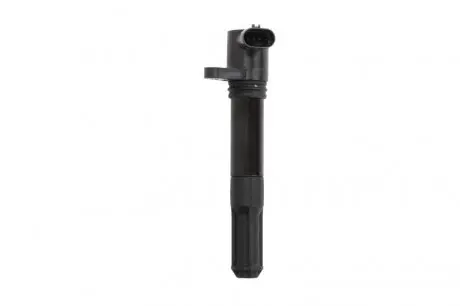 Катушка зажигания Iveco Daily IV/Opel Combo/Fiat Ducato 1.4-3.0 09- Delphi CE20056-12B1