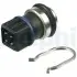 Датчик температуры жидкости охлаждения Delphi TS10274 (фото 1)