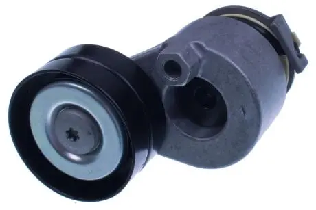 Натяжник паска приводного Renault Megane II 1.9dCi 02- Denckermann P426006