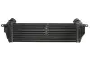 Интеркуллер DENSO DIT01004 (фото 2)