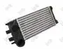Iнтеркулер Citroen Berlingo/Peugeot Partner 1.6HDi/BlueHDi 08- DEPO 0090180010 (фото 2)