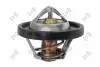 Термостат Ford Fiesta/Focus 1.4-1.6 16V 95-08 DEPO 0170250004 (фото 1)