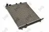 Радіатор охолодження двигуна C2/C3 1.1i/1.4i 02- DEPO 038-017-0006 (фото 2)