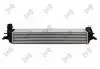 Iнтеркулер Renault Laguna III 2.0DCi 07-15 DEPO 0420180005 (фото 1)