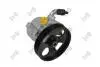 Помпа гiдропiдсилювача Citroen C3 II 09-/Xsara Picasso 99-12/Peugeot 207SW 07-13 DEPO 14001041 (фото 1)