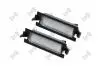 Ліхтар підсвітки номера лівий+правий DEPO L192100002LED (фото 1)