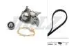 DOLZ RENAULT К-кт ГРМ (помпа + ремень + ролик) MEGANE I 1.4 e 96-03, CLIO SYMBOL 1.4 00-, SOLENZA 1.4 03-05 KD116