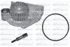 Водяний насос Land Rover Freelander 1.8 16V 98-06 DOLZ M243 (фото 1)