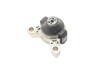 Подушка двигателя (R) Ford Connect 02- DP DP Group B 4003 (фото 7)