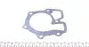 Прокладка помпы воды Ford Transit 2.5 TDI 86-00 DP DP Group CS 15513 (фото 1)