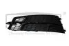 Грати протитуманної фари лівої Audi A6 (11-) DPA 88071855102 (фото 1)