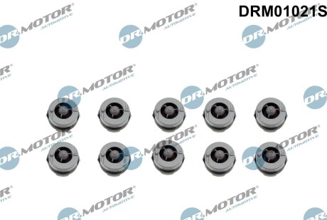 Втулка кожуха двигуна к-т, 10 шт DR.MOTOR DRM01021S