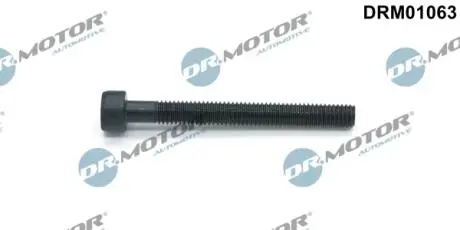 Болт с фигурной головкой DR.MOTOR DRM01063