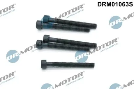 Комплект болтов двигателя с фигурной головкой DR.MOTOR DRM01063S