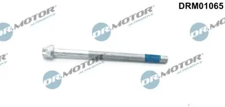 Болт с фигурной головкой DR.MOTOR DRM01065