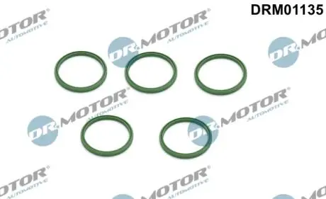 Ущільнююче кільце, 5 шт DR.MOTOR DRM01135