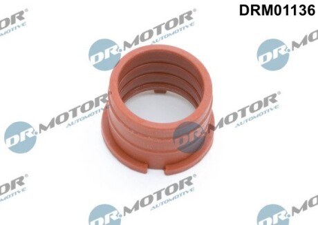 Кольцо резиновое DR.MOTOR DRM01136