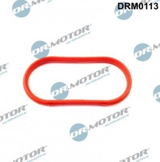 Прокладка колектора SSĄCEGO BMW Прокладка, впускний колектор DR.MOTOR DRM0113