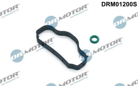 Прокладка сепаратора мастила DR.MOTOR DRM01200S