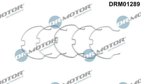 Комплект хомутів металевих DR.MOTOR DRM01289 (фото 1)