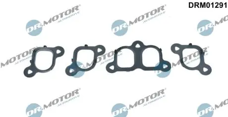 Комплект прокладок из разных материалов DR.MOTOR DRM01291