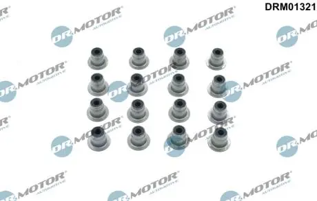 Комплект сальников клапана DR.MOTOR DRM01321