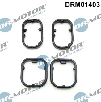 Комплект резиновых прокладок. DR.MOTOR DRM01403