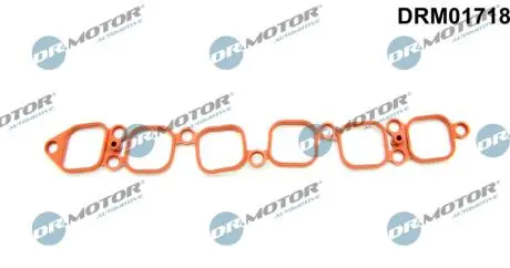 Автозапчасть DR.MOTOR DRM01718