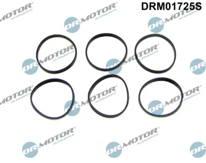 Автозапчасть DR.MOTOR DRM01725S