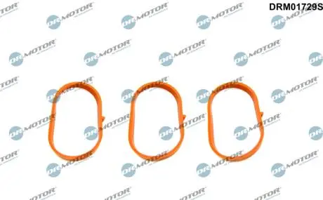 Прокладка колектора, 3 шт DR.MOTOR DRM01729S