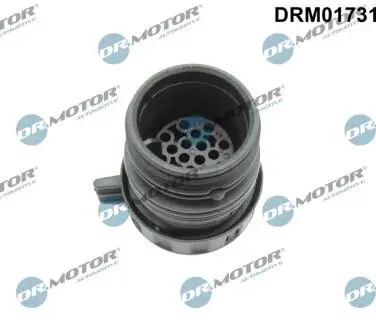 Автозапчасть DR.MOTOR DRM01731