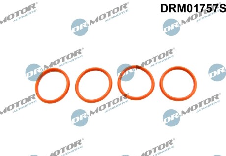 Прокладка колектора 4 елементи DR.MOTOR DRM01757S