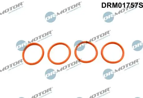 Прокладка колектора 4 елементи DR.MOTOR DRM01757S