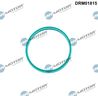 Ущiльнююче кiльце DR.MOTOR DRM01815