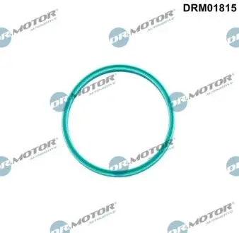 Ущiльнююче кiльце DR.MOTOR DRM01815